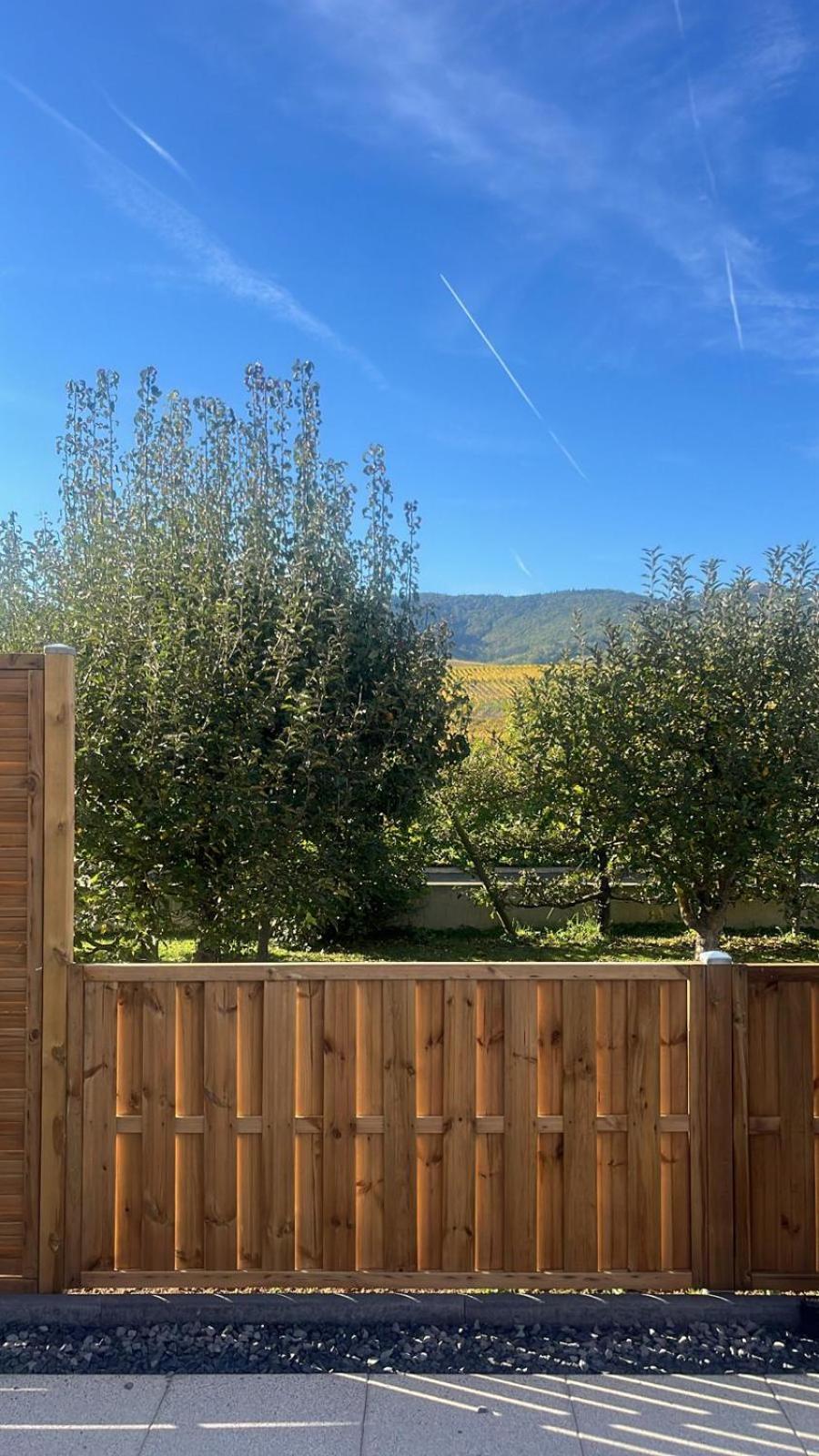 Studio Aux Pieds Des Vignes Eguisheim Eksteriør bilde